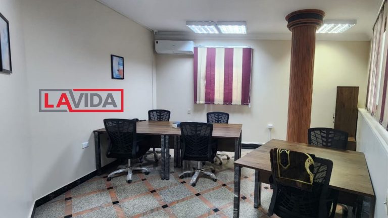 مصر الجديدة (12)